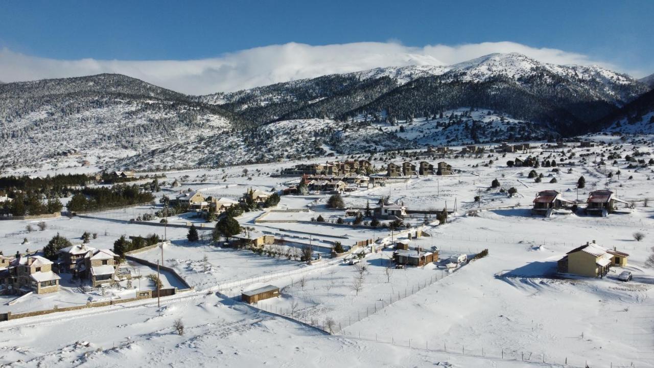 Chalet Renata 1 Livadi Arachovas Kalívia 外观 照片